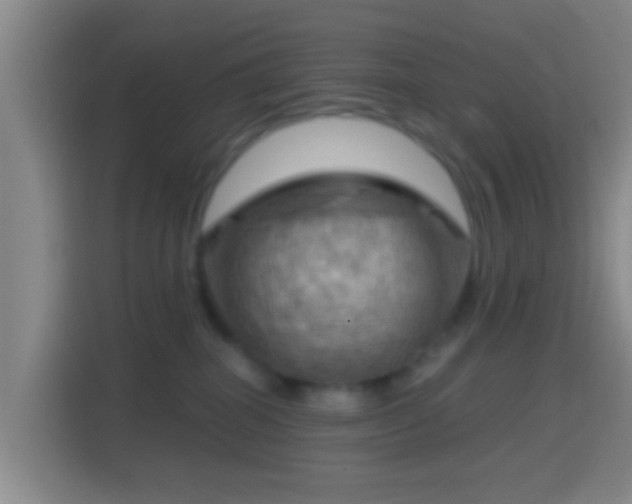 X0000114430282200910231240