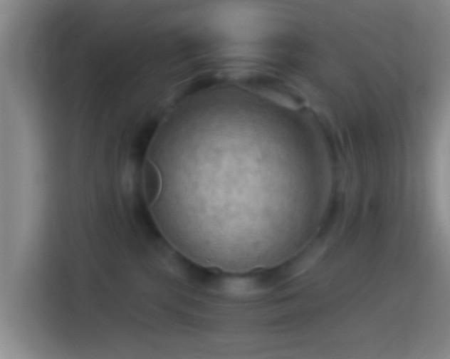X0000114430283200910231240