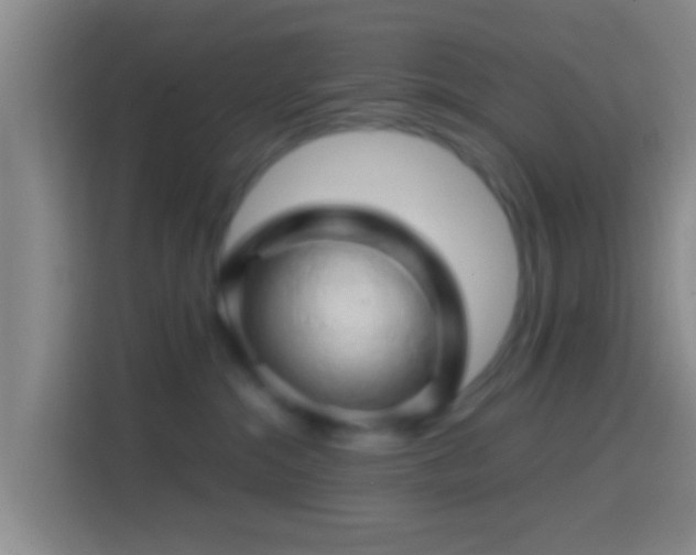 X0000114430284200910231240