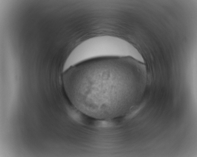 X0000114430286200910231240