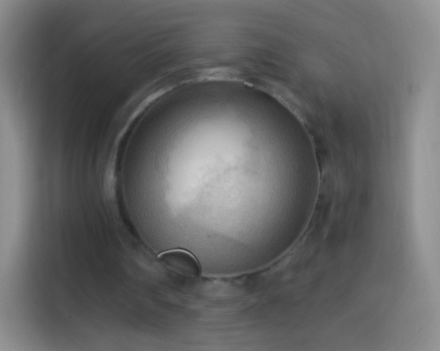 X0000114430290200910231239