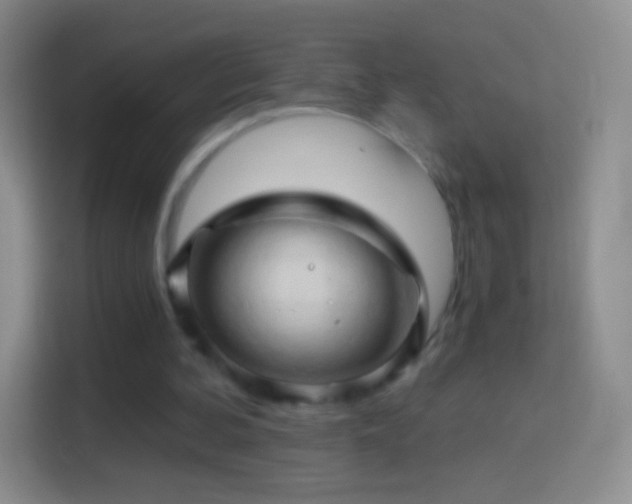 X0000114430292200910231239