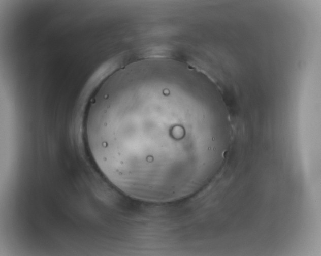 X0000114430293200910231239