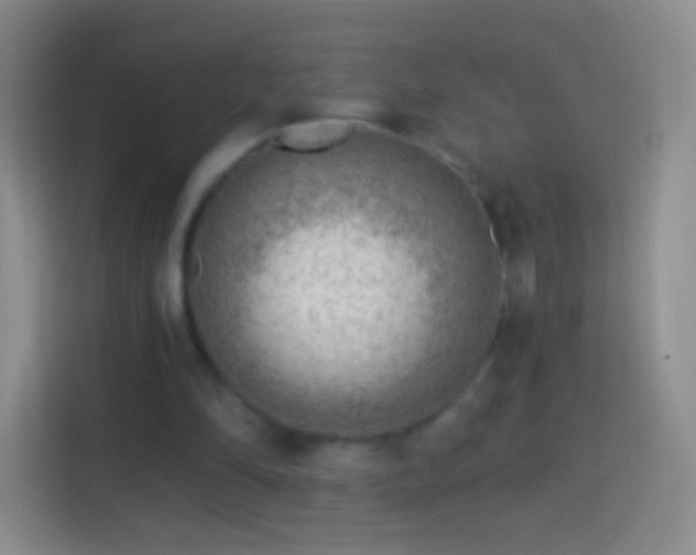 X0000114430294200910231239