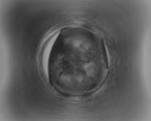 X0000114430295200910231239