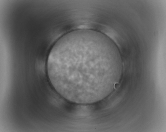 X0000114430297200910231239