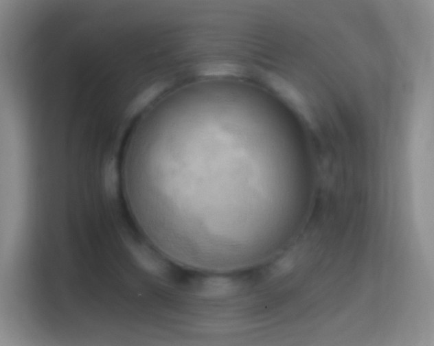 X0000114430298200910231239
