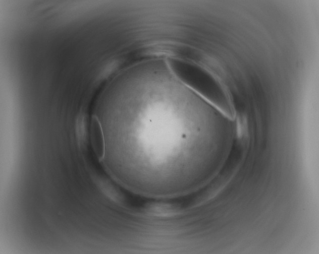 X0000114430300200910231239