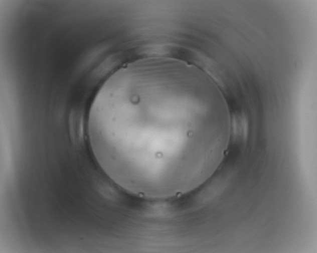 X0000114430301200910231239