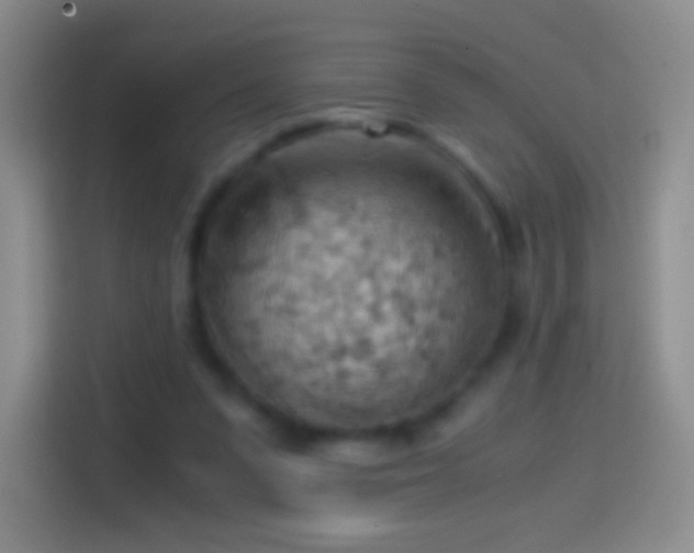 X0000114430303200910231239