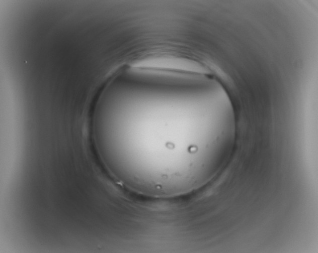 X0000114430305200910231239