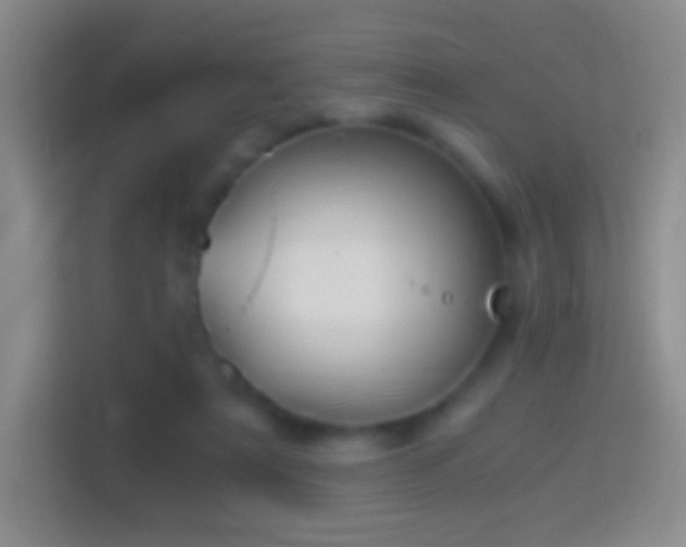 X0000114430307200910231239