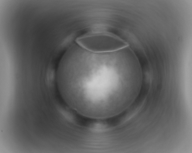 X0000114430308200910231239