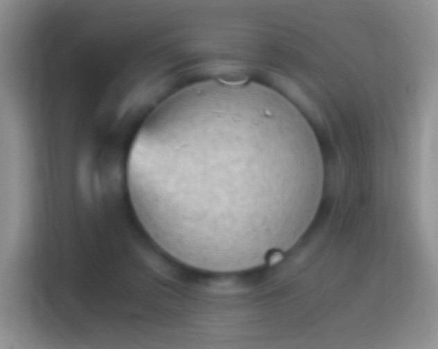 X0000114430309200910231239