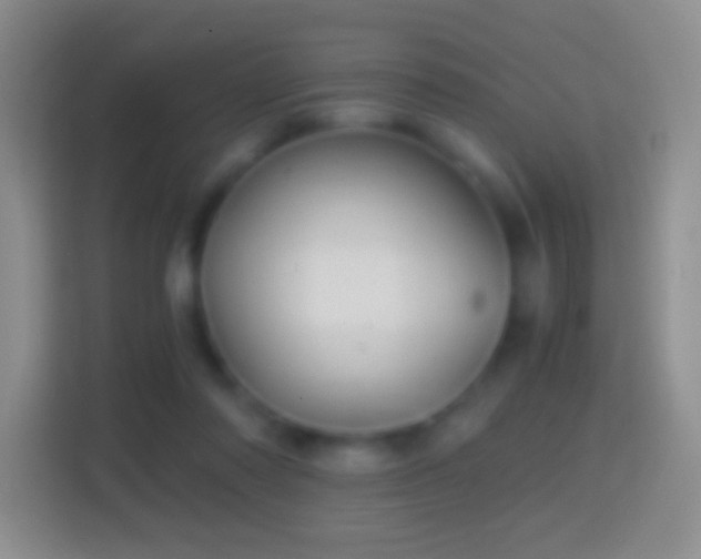 X0000114430310200910231239