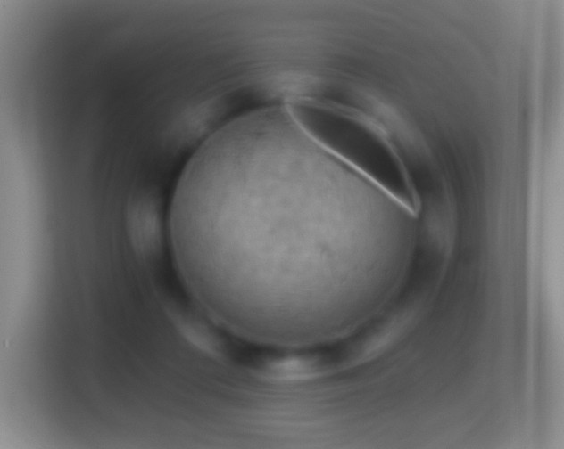 X0000114430312200910231239