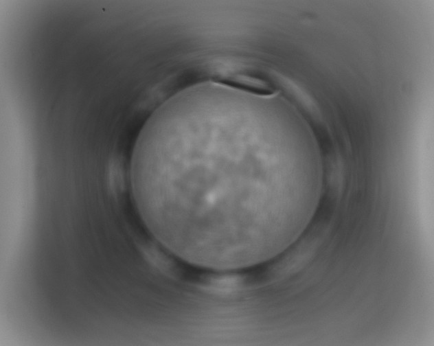 X0000114430313200910231239
