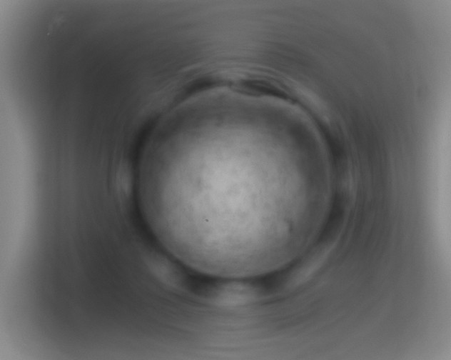 X0000114430315200910231239