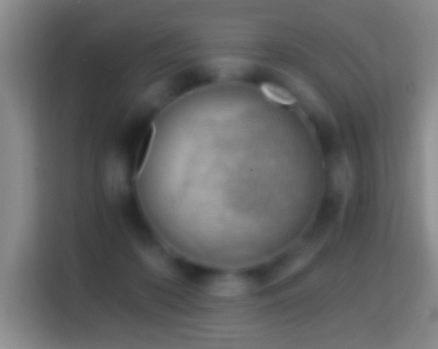 X0000114430316200910231239