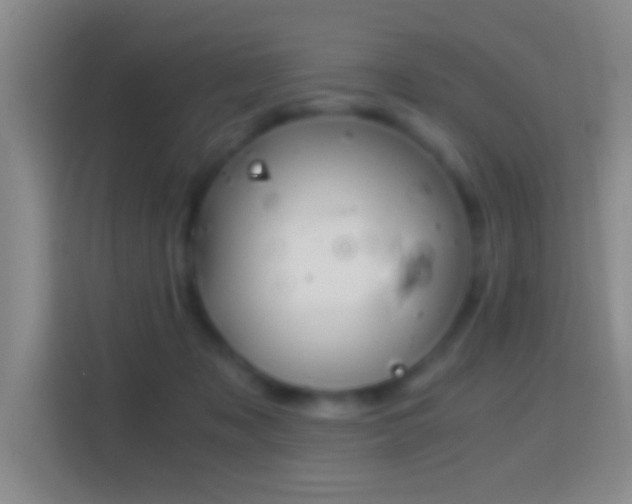 X0000114430317200910231239