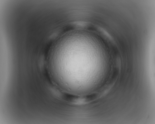 X0000114430318200910231239