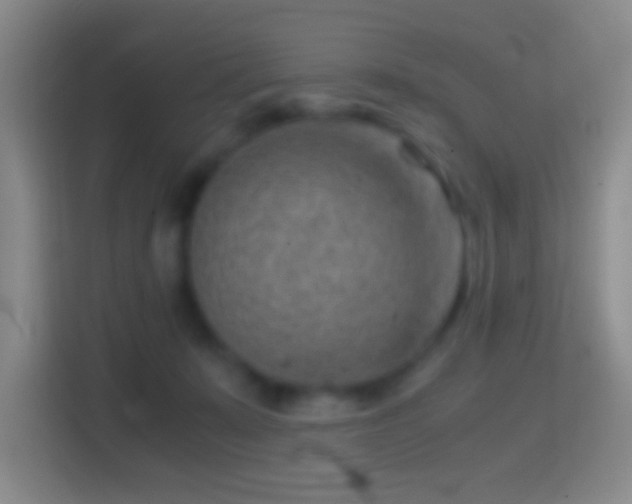X0000114430319200910231239