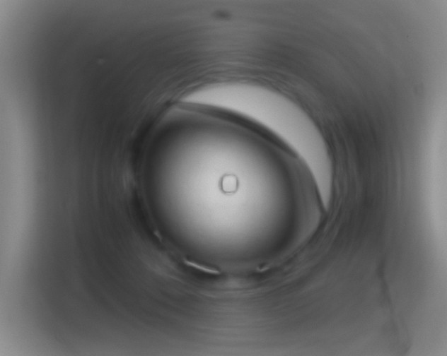 X0000114430320200910231239