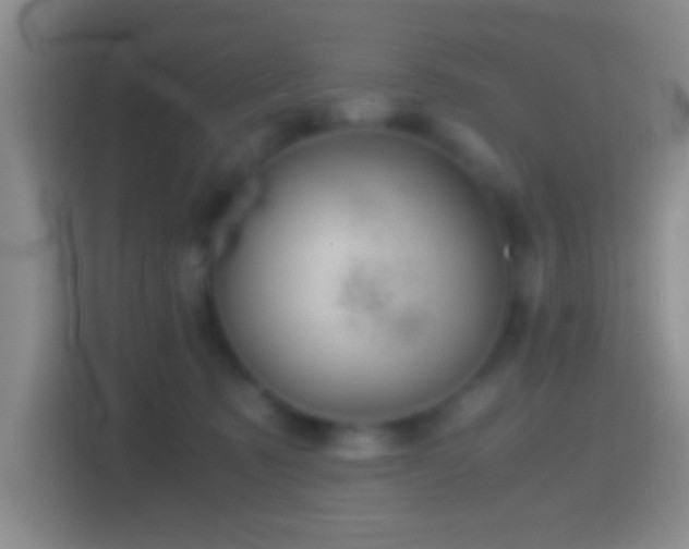 X0000114430321200910231239
