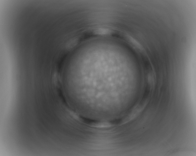 X0000114430322200910231239