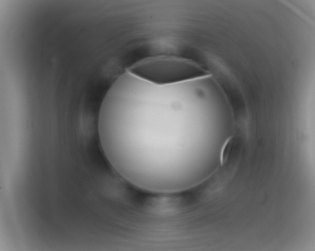 X0000114430323200910231239