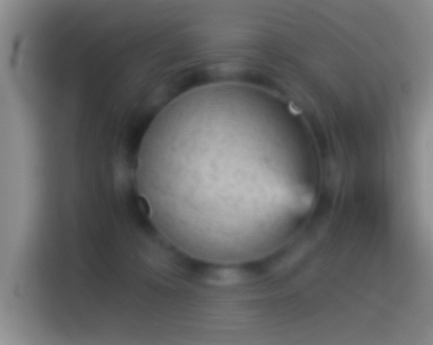 X0000114430324200910231239