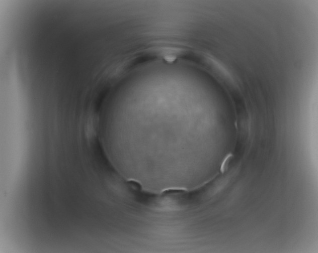 X0000114430325200910231239
