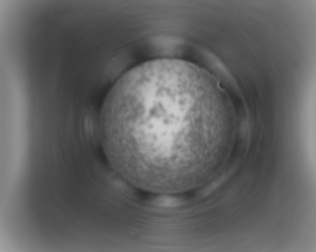 X0000114430326200910231239