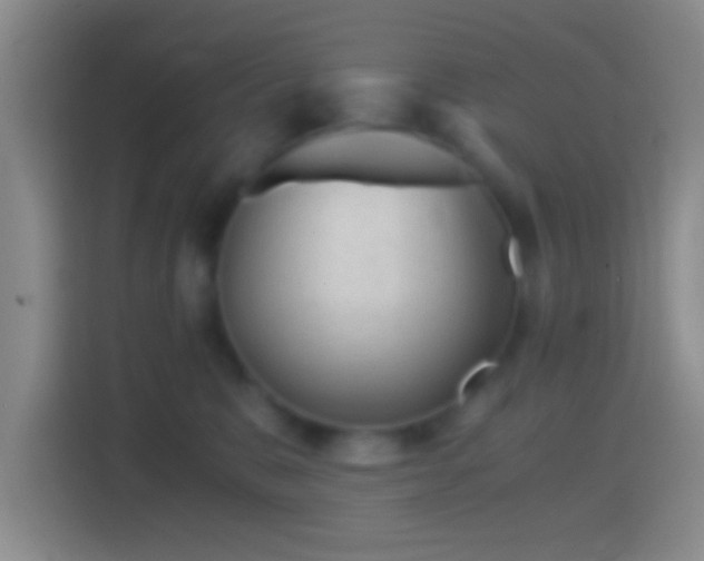 X0000114430327200910231239
