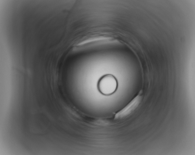 X0000114430328200910231239