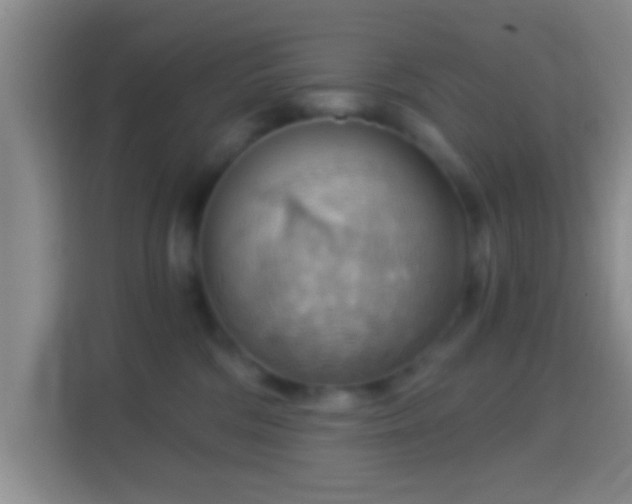 X0000114430330200910231239