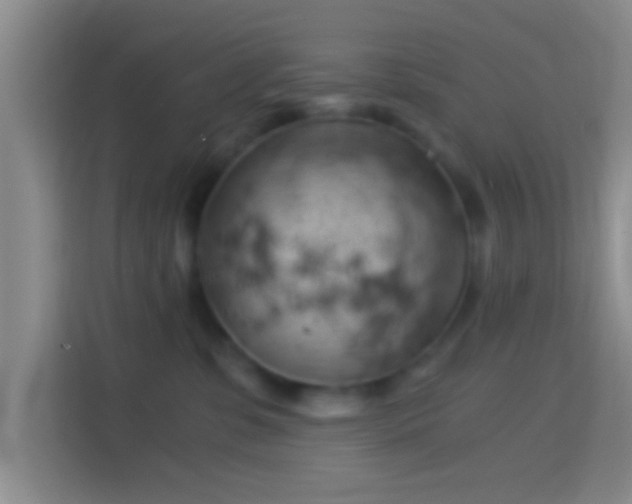 X0000114430331200910231239
