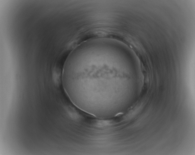 X0000114430332200910231239