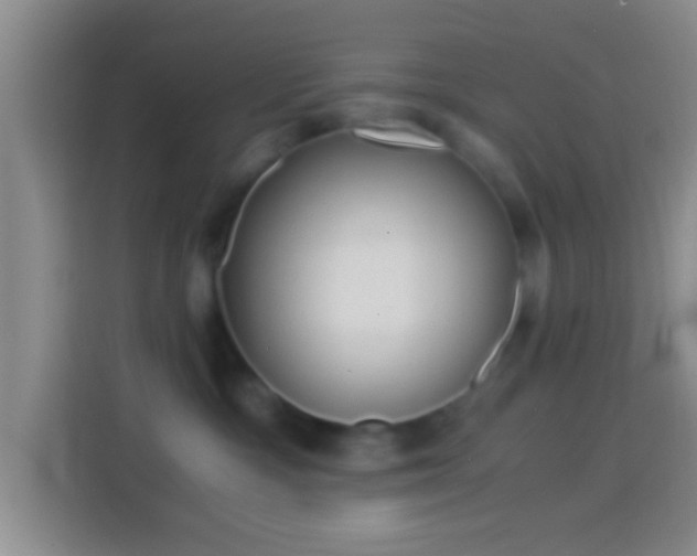 X0000114430333200910231239