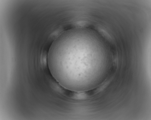 X0000114430334200910231239