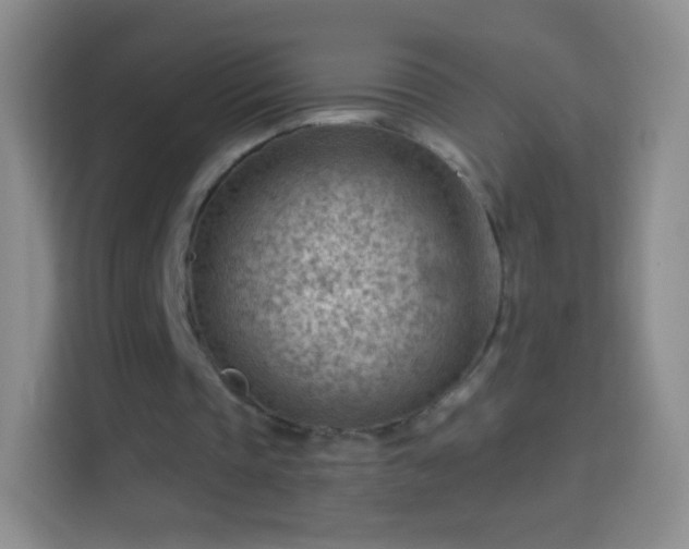 X0000114430337200910231238