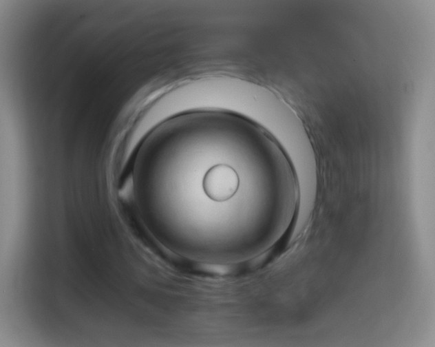 X0000114430339200910231238
