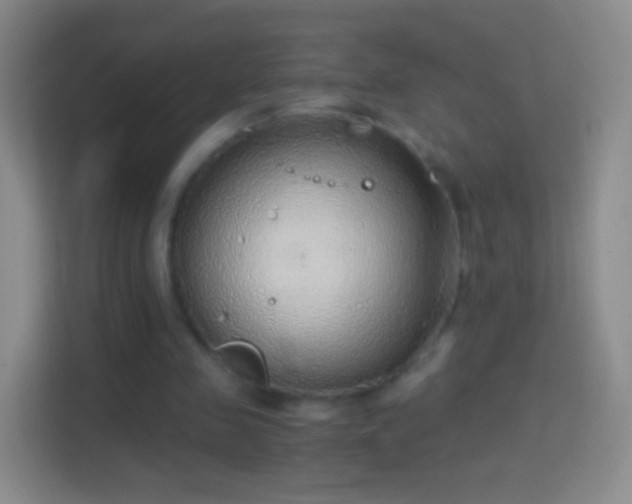 X0000114430341200910231238