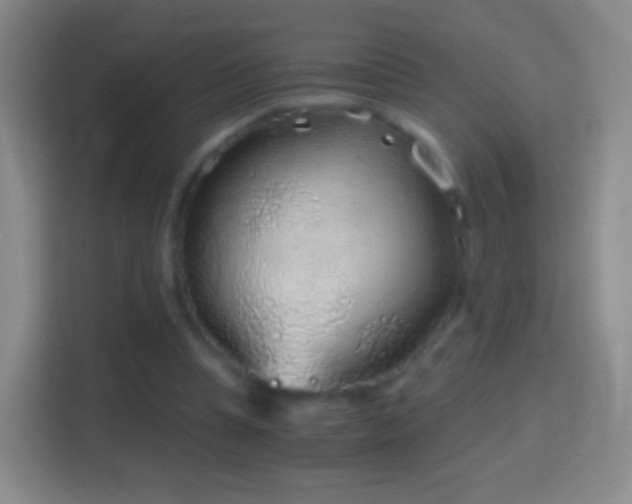 X0000114430345200910231238