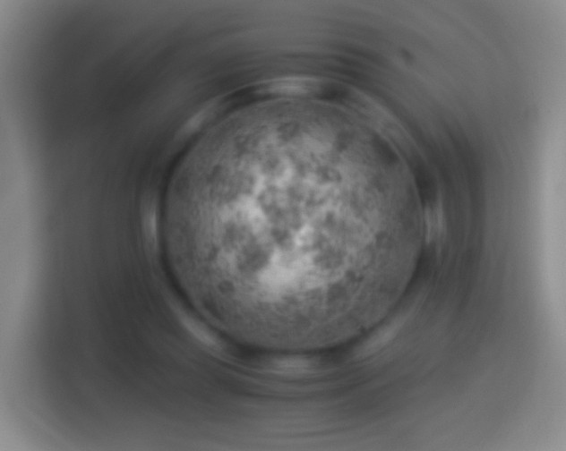 X0000114430349200910231238