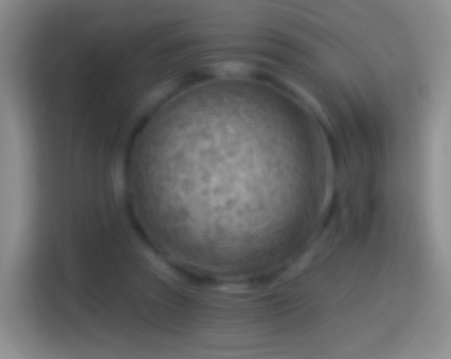X0000114430353200910231238