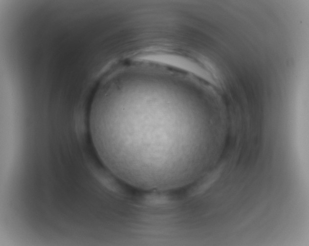 X0000114430354200910231238