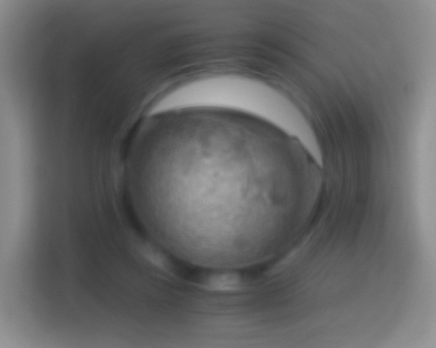 X0000114430355200910231238