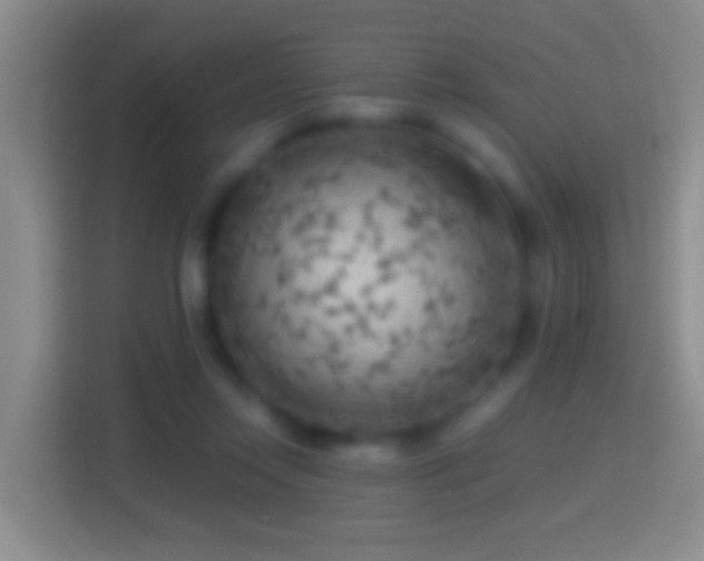 X0000114430358200910231238