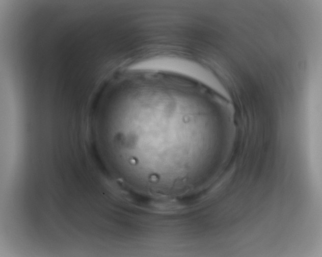 X0000114430359200910231238